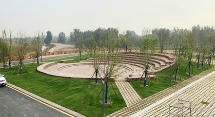 響應(yīng)國家戰(zhàn)略 弘揚(yáng)黃河文化|奧雅設(shè)計簽約鄭州黃河灘濕地公園EPC項(xiàng)目