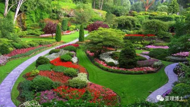 又來一波牛逼!200個(gè)景觀風(fēng)景園林專業(yè)英語詞匯(中英對照版)_文化_網(wǎng)