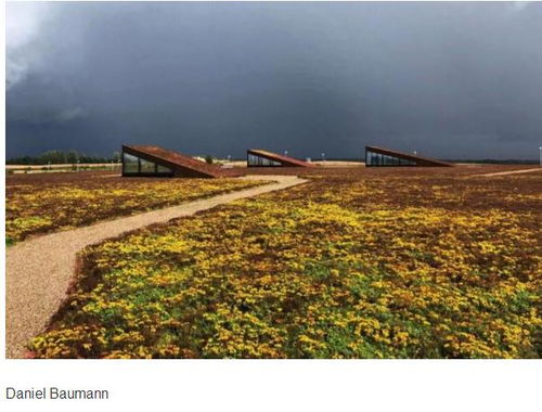 丹麥北部水處理廠景觀設(shè)計(jì) 功能與美學(xué)的和諧共生